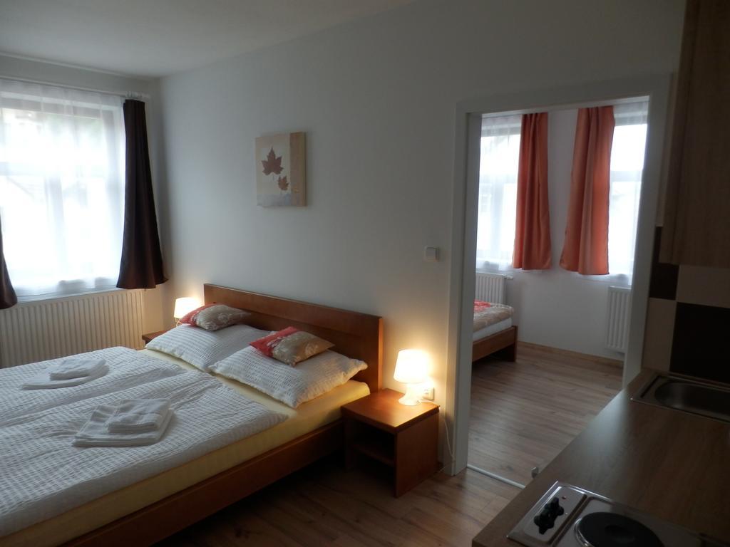 Český Krumlov Dueta Apartment חדר תמונה