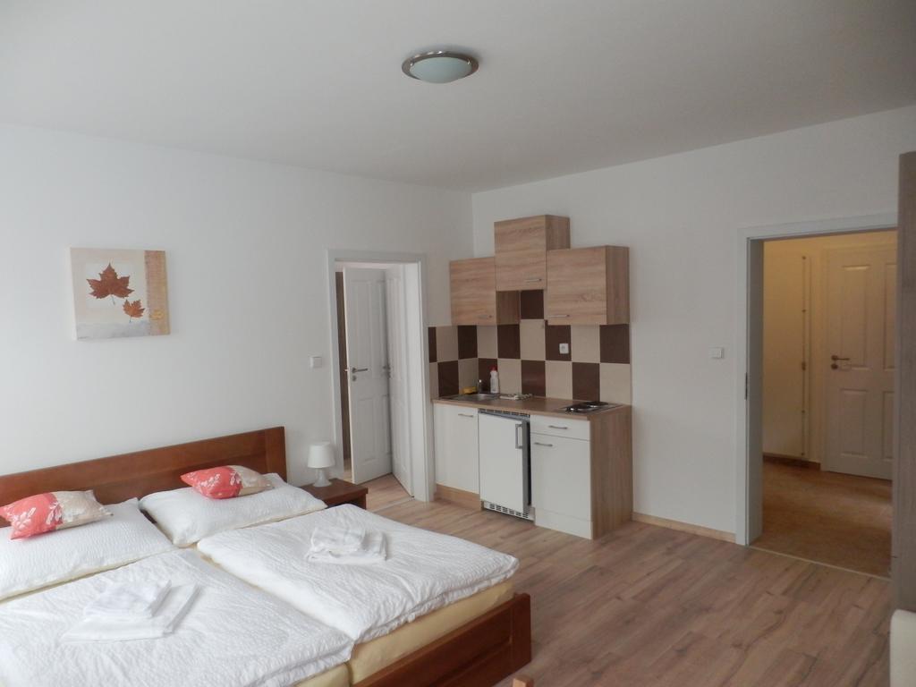 Český Krumlov Dueta Apartment חדר תמונה